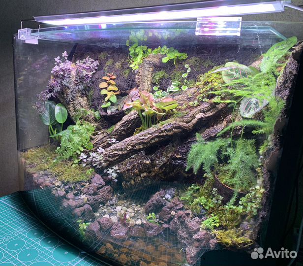 Флорариум в аквариуме