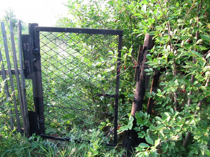 Дача 60 м² на участке 25 сот.