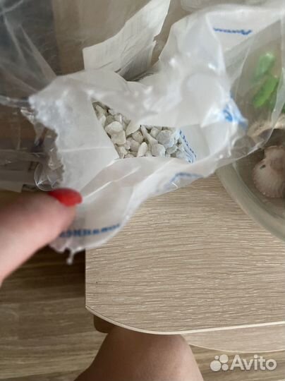 Аквариум на 3л с грунтом, растением и ракушками