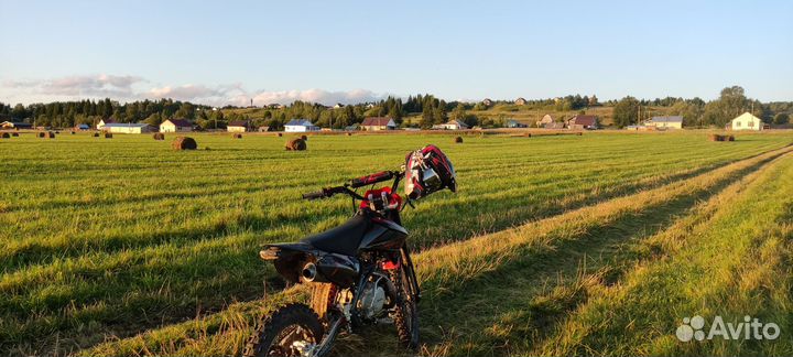 Regulmoto seven medalist pro 19 16