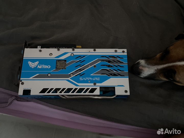 Видеокарта amd rx590 sapphire