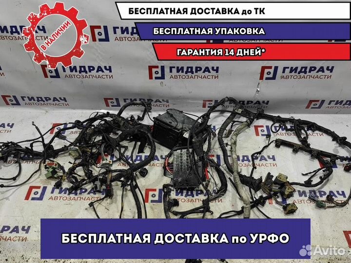 Проводка подкапотная Ford Focus 3 1722665. Моторна