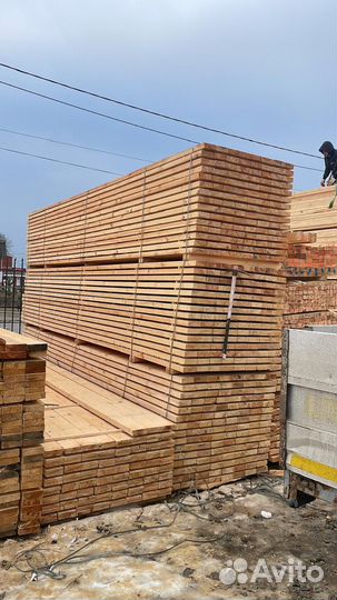 Лес от производителя