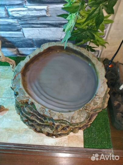 Бассейн для рептилий