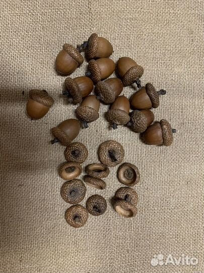 Набор шишек, желудей для декора и творчества