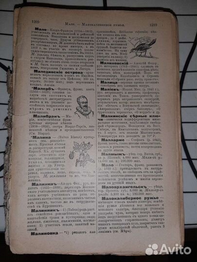 Словарь старый