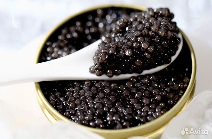 Малосол черная икра
