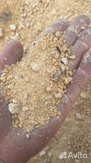 Шрот соевый