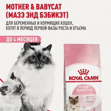 Сухой корм для кошек royal canin