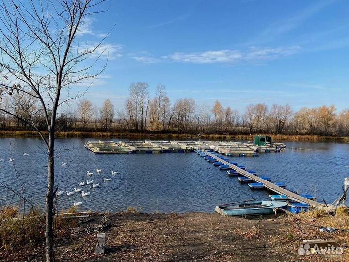 Садок для выращивания рыбы