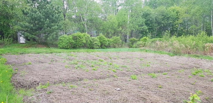 Участок 10 сот. (СНТ, ДНП)