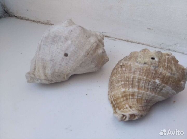 Аквариумные принадлежности