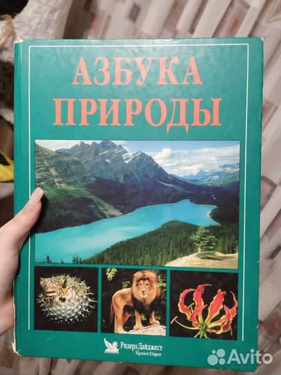 Энциклопедия