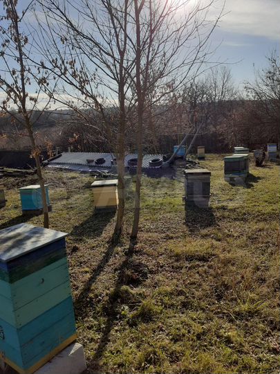 Дом 35 м² на участке 25 сот.