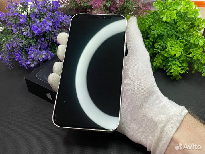 iPhone 12 Pro Max, 256 ГБ