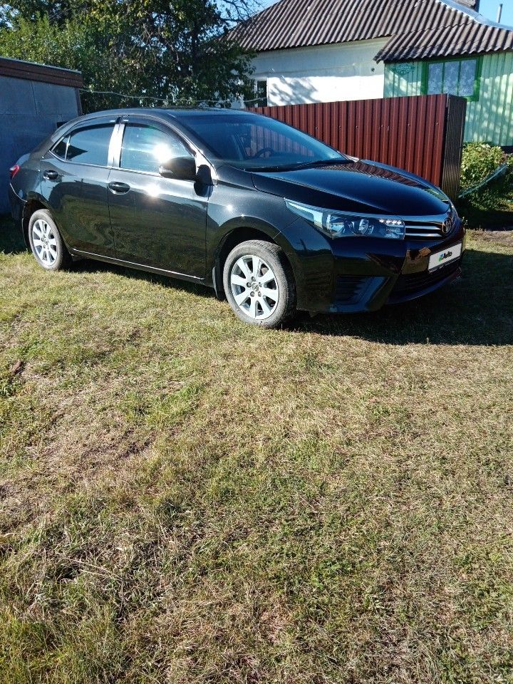 Toyota Corolla: фото владельца