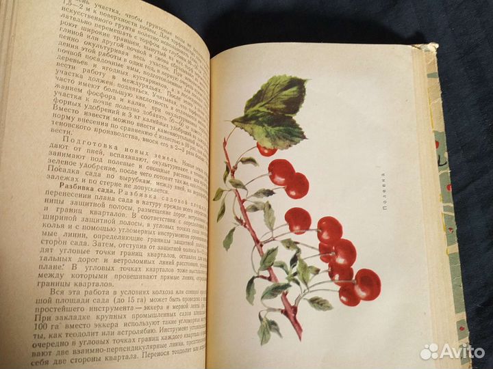 Садоводство Среднего Урала1964г