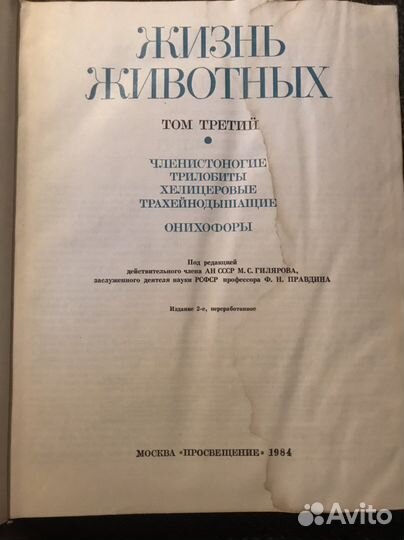 Жизнь животных