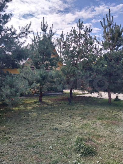 Дом 100 м² на участке 50 сот.