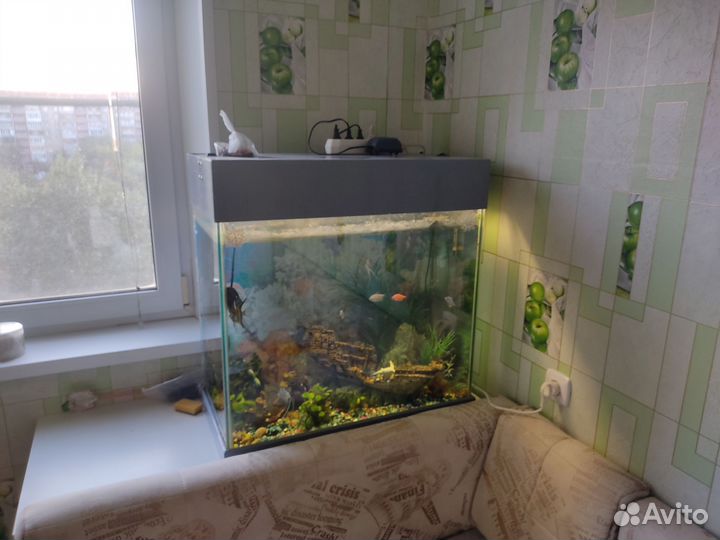 Аквариум на 150 литров
