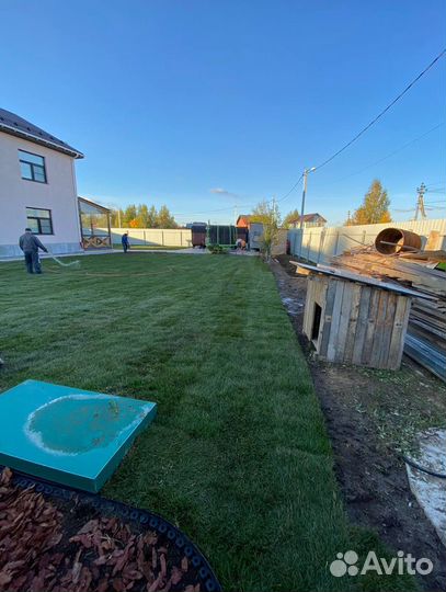 Рулонный газон с укладкой