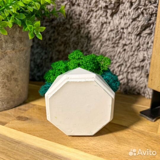 Кашпо со стабилизированным мхом