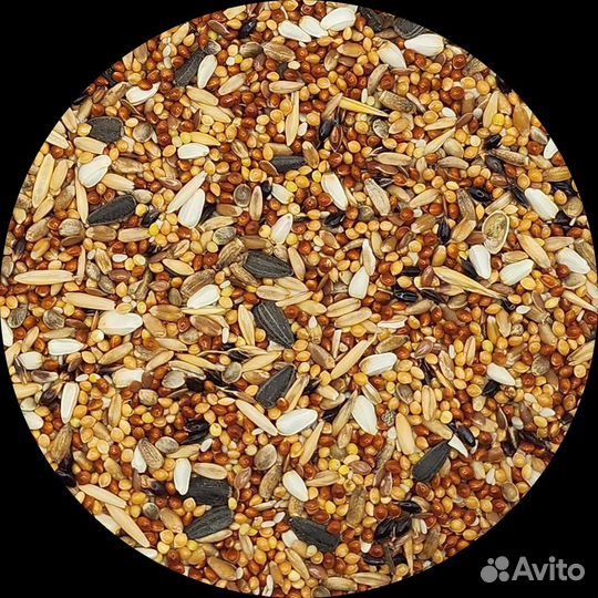 Корм для мелких и средних Попугаев оптом от произв