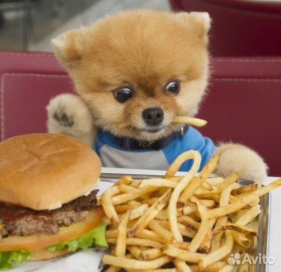 Помощник повара в Фастфуд (с 18 лет)