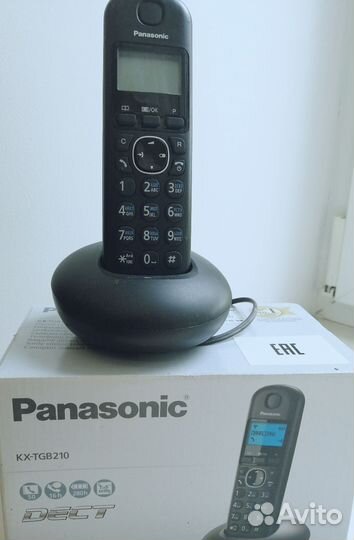 Panasonic