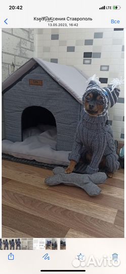 Одежда для собак мелких пород и кошек