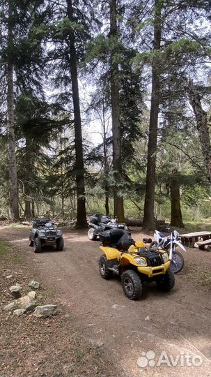 Прокат квадроциклов Домбай-Теберда