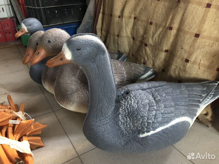 Муляж подсадных гусей