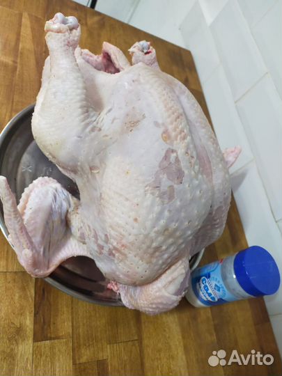 Мясо домашней птицы: индейка, утка