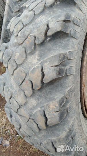 R10 Омскшина И-281, У-4 155/35, PCD 8x100 DIA 40