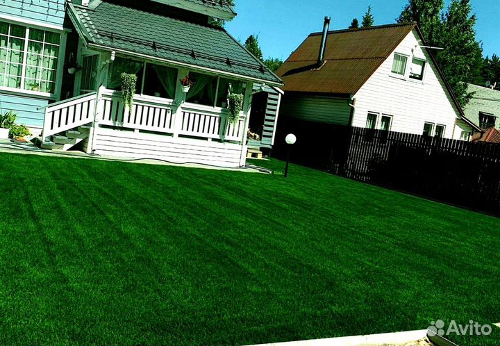 Рулонный газон