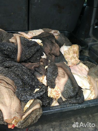 Рубец говяжий, легкое- натуральный корм для собак