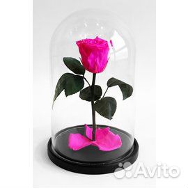 Роза в колбе Фуксия (малиновый) магазин