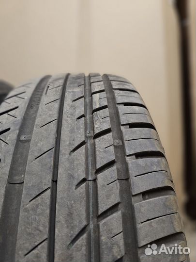 Estrada Winterri Wolf Energy 195/65 R15