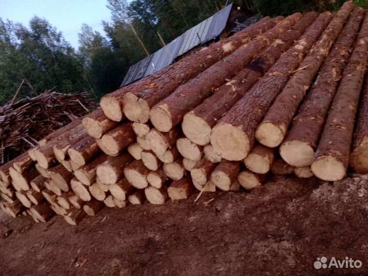 Лес кругляк сосна