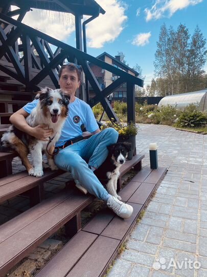 Кинолог / Дрессировка и воспитание собак