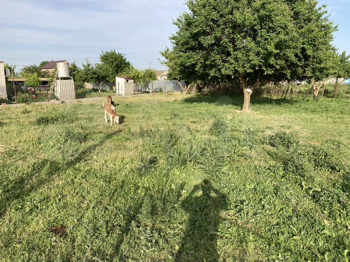 Участок 10 сот. (ИЖС)