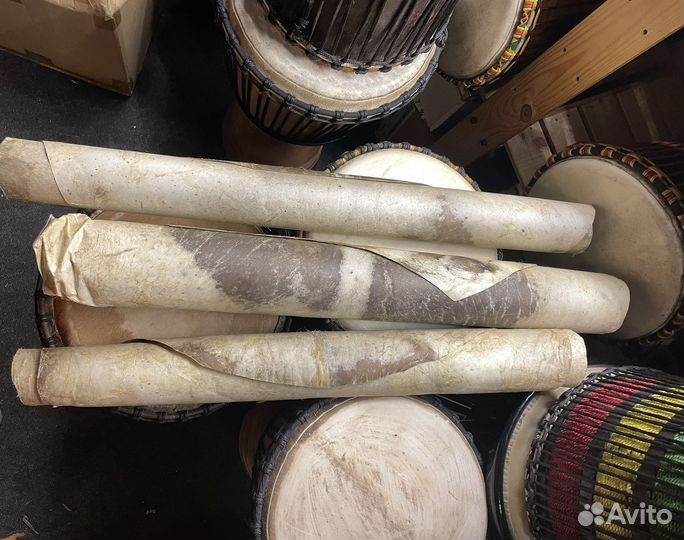 Кожа африканской козы плотная для джембе