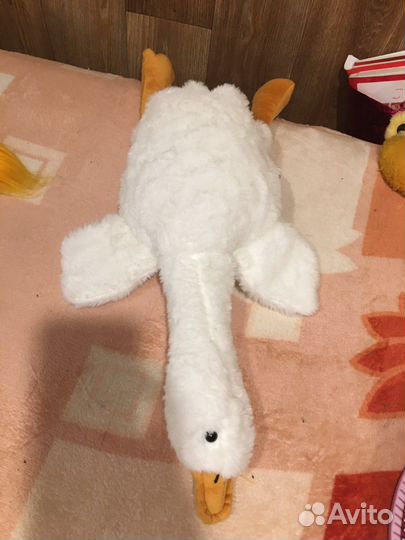 Гусь обнимусь