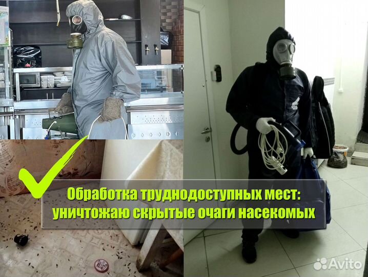 Уничтожение клопов, тараканов, плесени