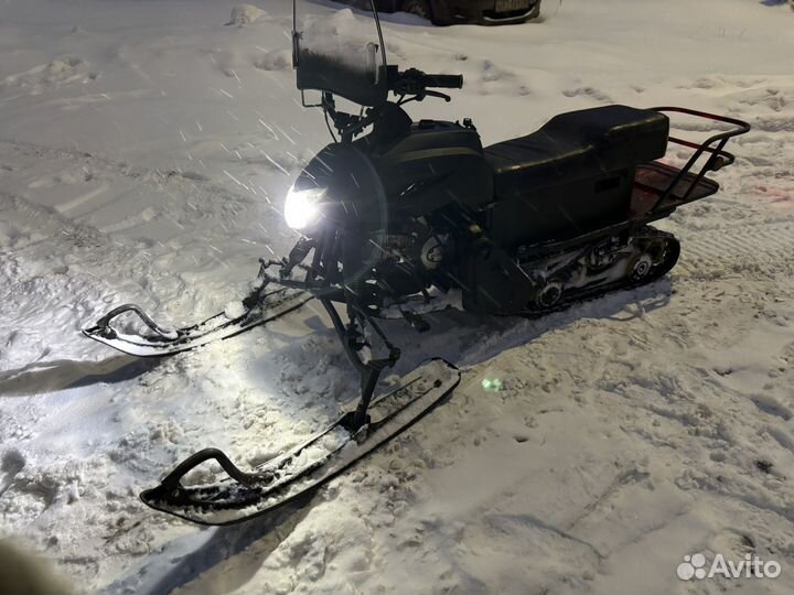 Dingo 125