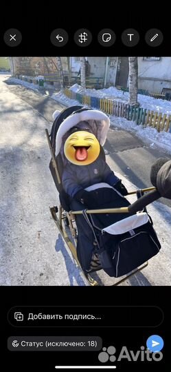 Санки коляска nika