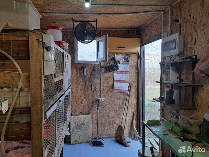 Мобильная перепелиная ферма