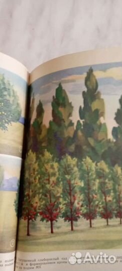 Познавательная книга