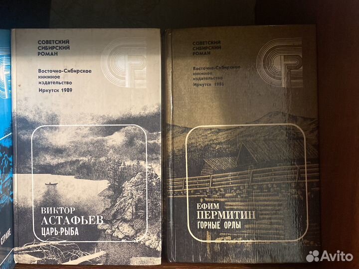 Сибирский роман