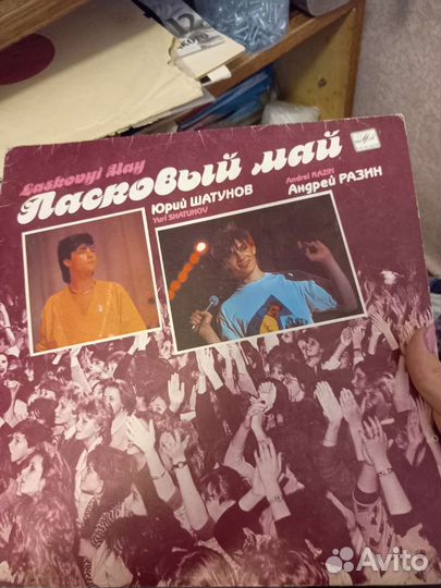 Виниловые пластинки